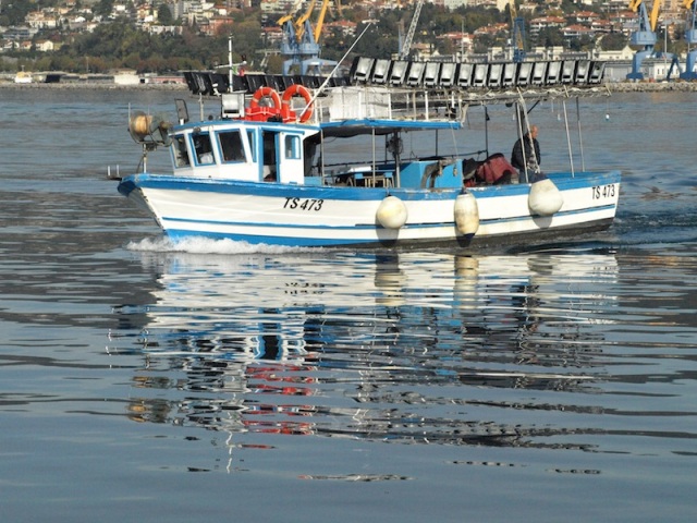 A lopsided squid fishing boat. 