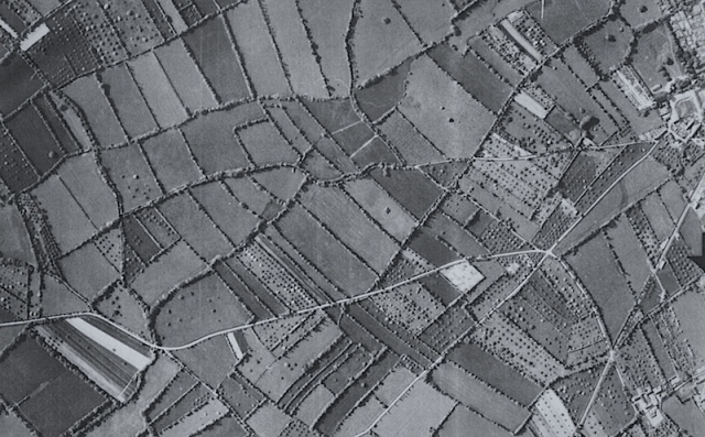 An aerial photograph of the hedgerows. Image from open-air exhibition Utah beach. Photographer unknown.