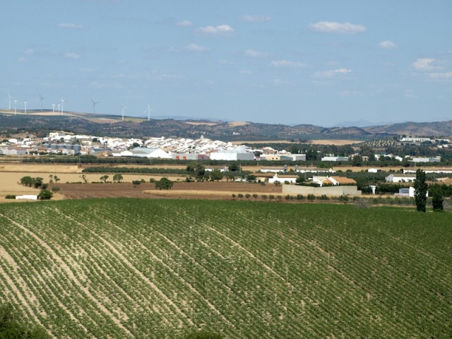 A wind farm (on distant hill), a village and grapes on the way to Cordoba. 